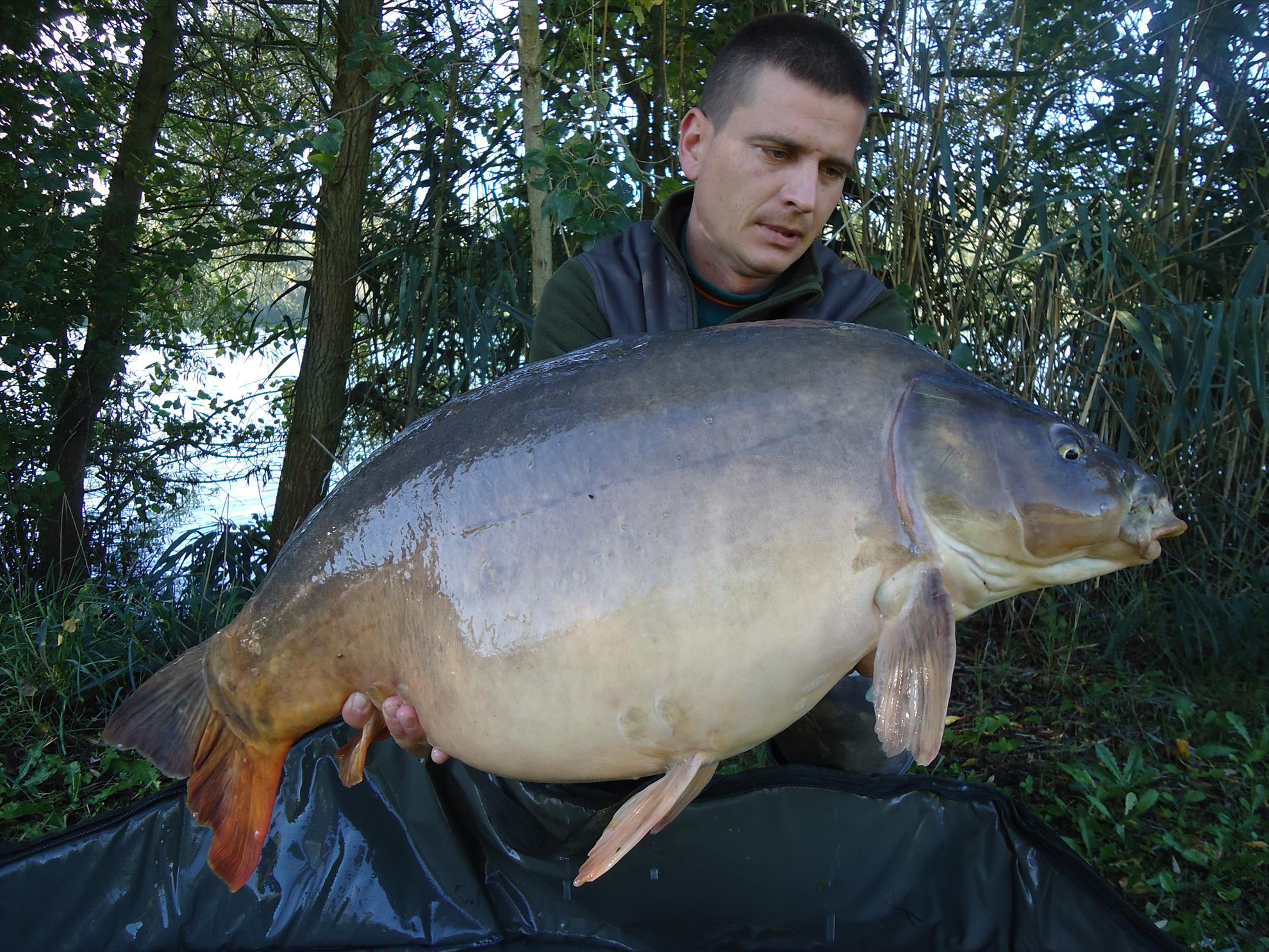 CARP FISHING...... - dsc06044.JPG